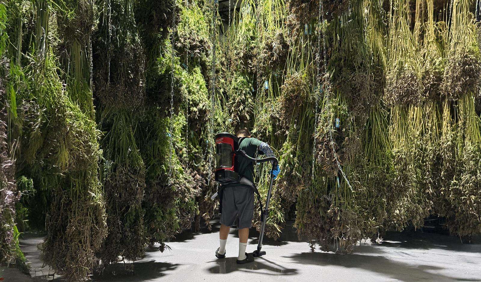 Emerald Gardens